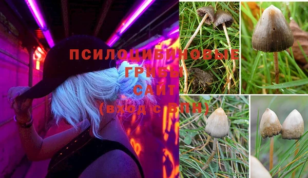 ПСИЛОЦИБИНОВЫЕ ГРИБЫ Богородицк