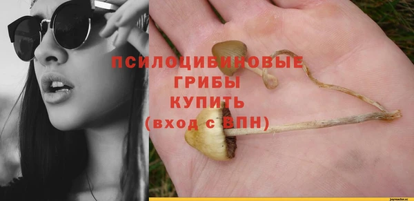 крисы Богданович