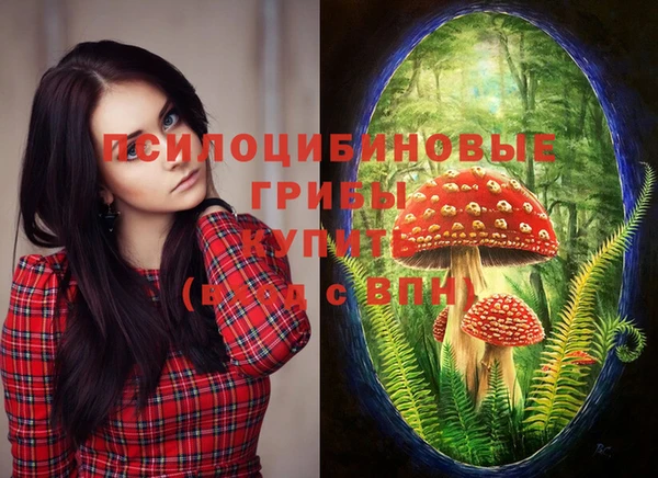 крисы Богданович