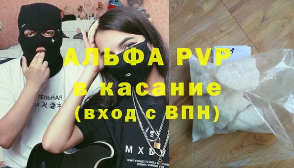 ПСИЛОЦИБИНОВЫЕ ГРИБЫ Богородицк