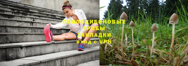 ПСИЛОЦИБИНОВЫЕ ГРИБЫ Богородицк