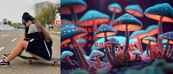 крисы Богданович