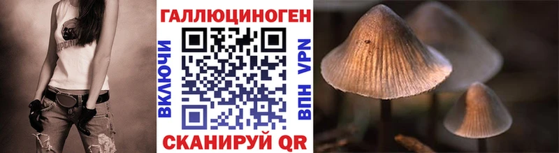 ссылка на мегу зеркало  Хабаровск  Галлюциногенные грибы GOLDEN TEACHER  где найти  